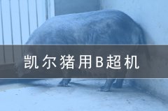 獸用b超機(jī)會(huì)給養(yǎng)豬場帶來哪些效益？